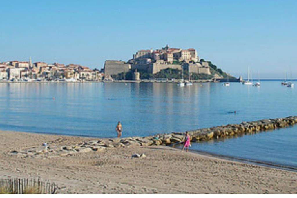 130m2 Qui Surplombe La Baie De Calvi Vue Citadelle Calvi (Corsica)